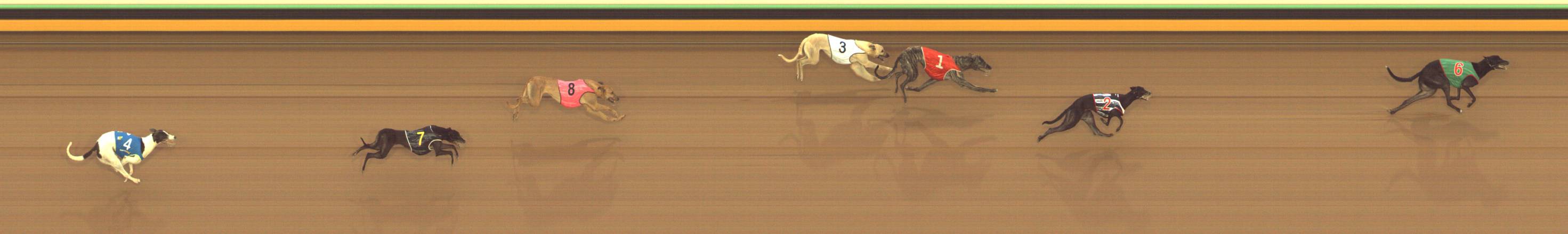 Race result finish photo